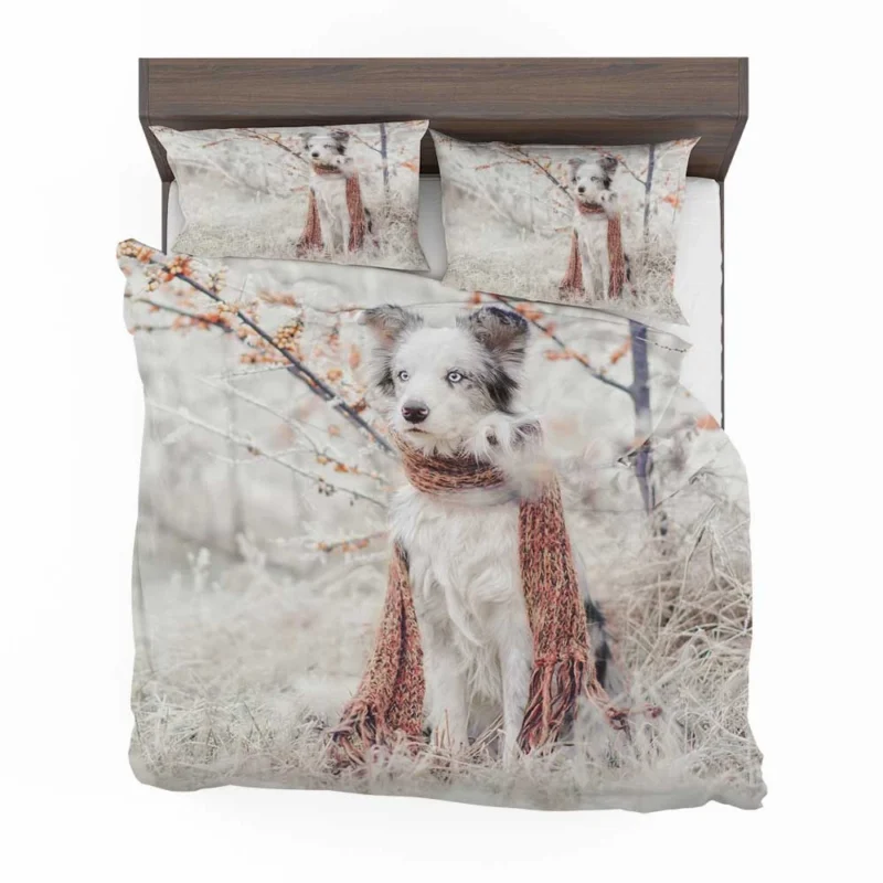 Canine Style with a Scarf: Australian Shepherd Bedding Set 1