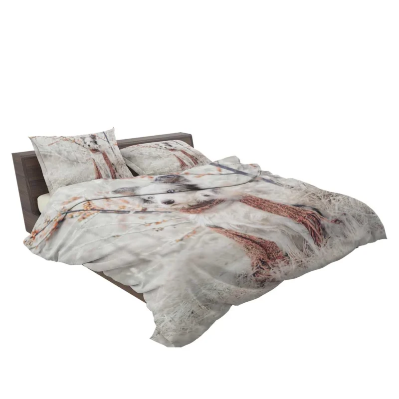 Canine Style with a Scarf: Australian Shepherd Bedding Set 2