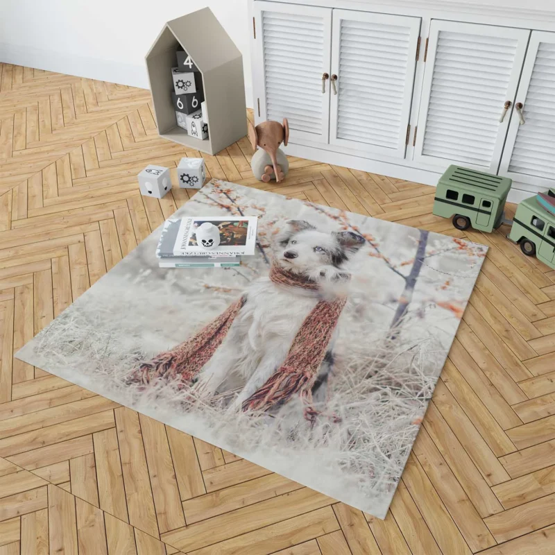 Canine Style with a Scarf: Australian Shepherd Floor Rug 1