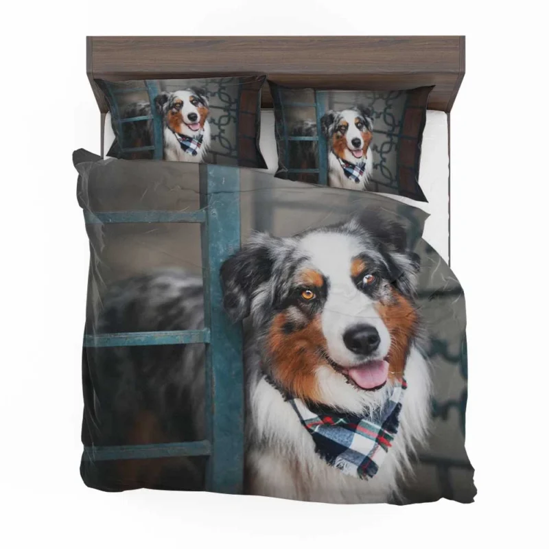 Canine Versatility and Beauty: Australian Shepherd Bedding Set 1