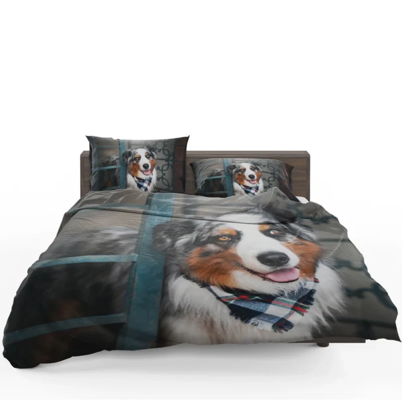 Canine Versatility and Beauty: Australian Shepherd Bedding Set