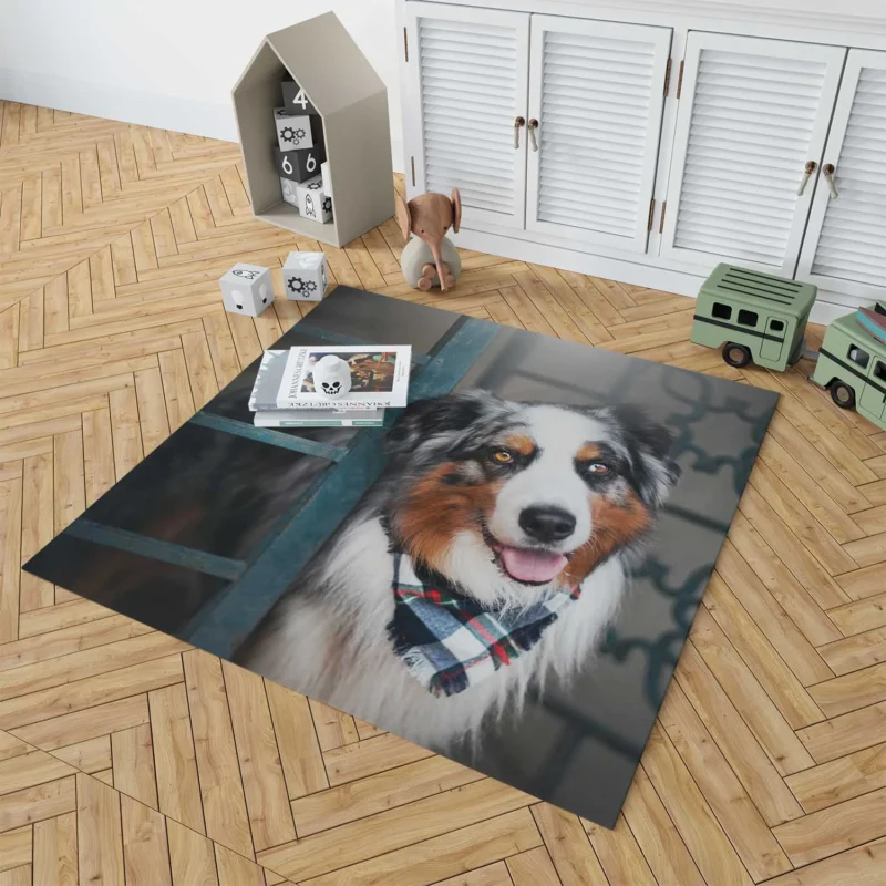 Canine Versatility and Beauty: Australian Shepherd Floor Rug 1