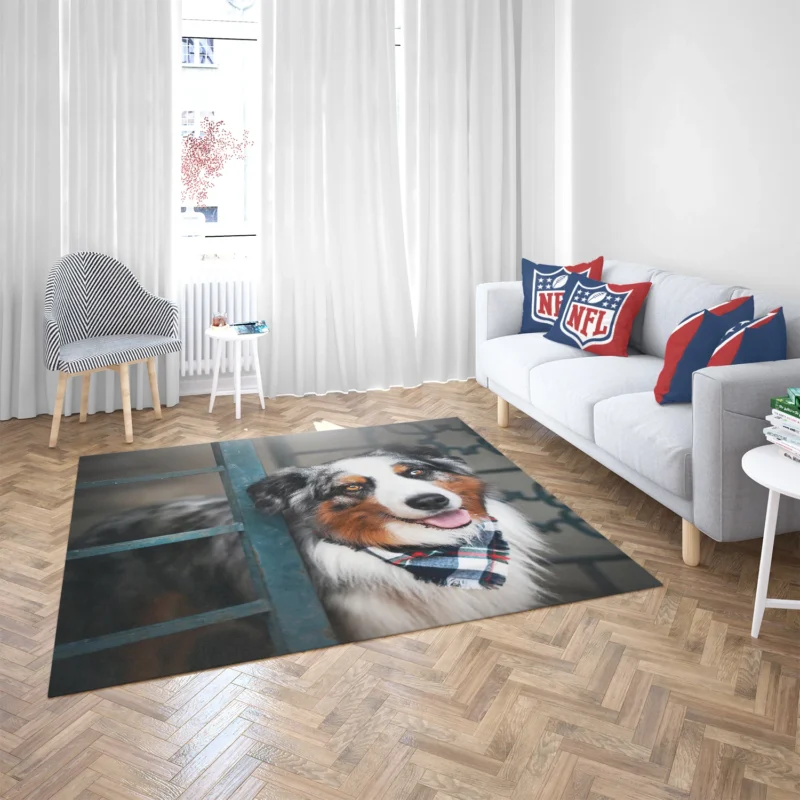 Canine Versatility and Beauty: Australian Shepherd Floor Rug 2