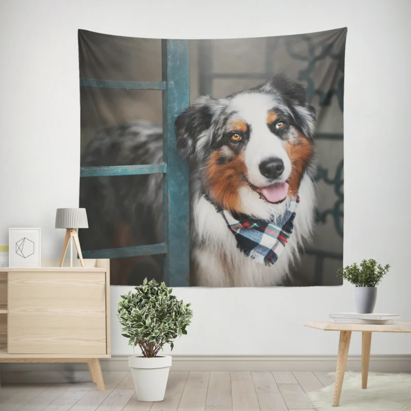 Canine Versatility and Beauty  Australian Shepherd Wall Tapestry