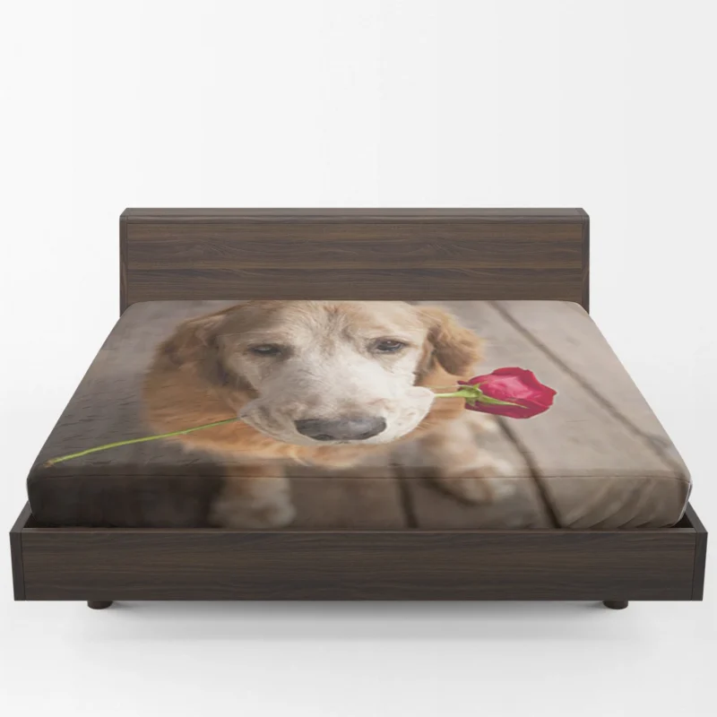 Canine and Roses: Golden Retriever Love Fitted Sheet 1