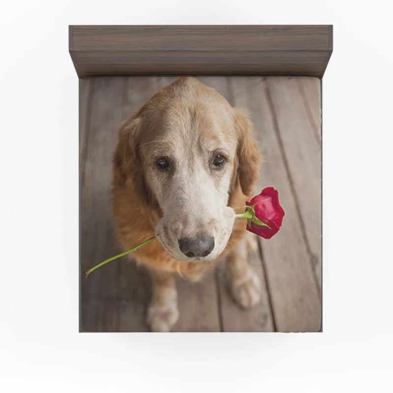 Canine and Roses: Golden Retriever Love Fitted Sheet