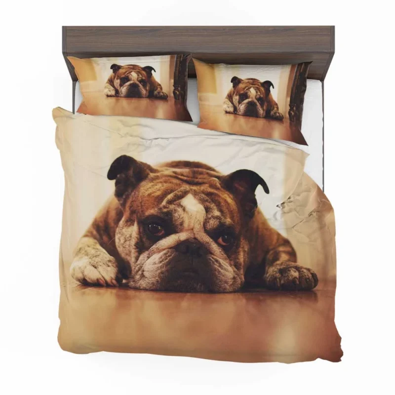 Captivating Canine Companions: Bulldog Quartet Bedding Set 1