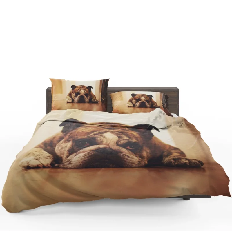 Captivating Canine Companions: Bulldog Quartet Bedding Set