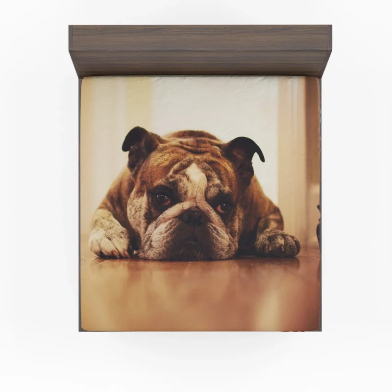 Captivating Canine Companions: Bulldog Quartet Fitted Sheet