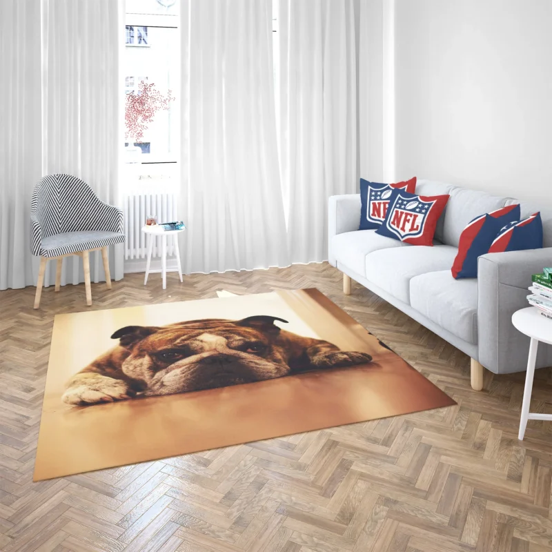 Captivating Canine Companions: Bulldog Quartet Floor Rug 2