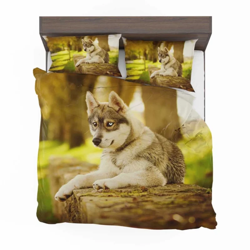 Captivating Canine Companions: Husky Quartet Bedding Set 1