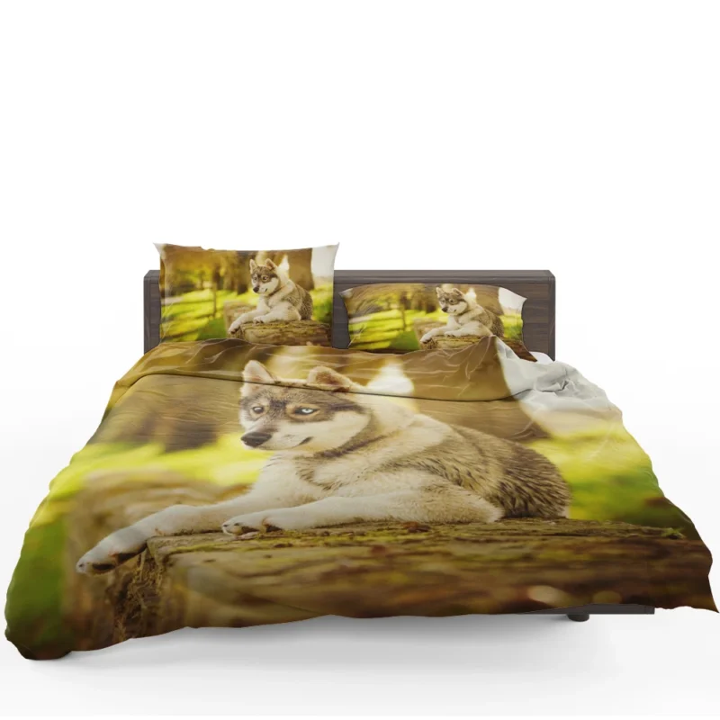 Captivating Canine Companions: Husky Quartet Bedding Set