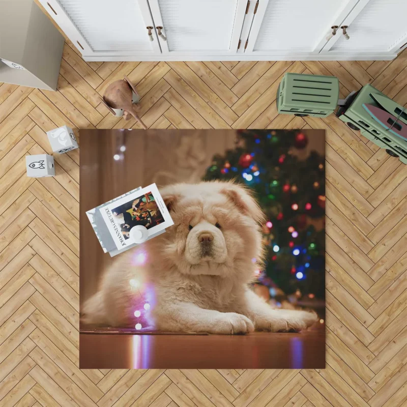 Captivating Chow Charm in Fourfold Floor Rug