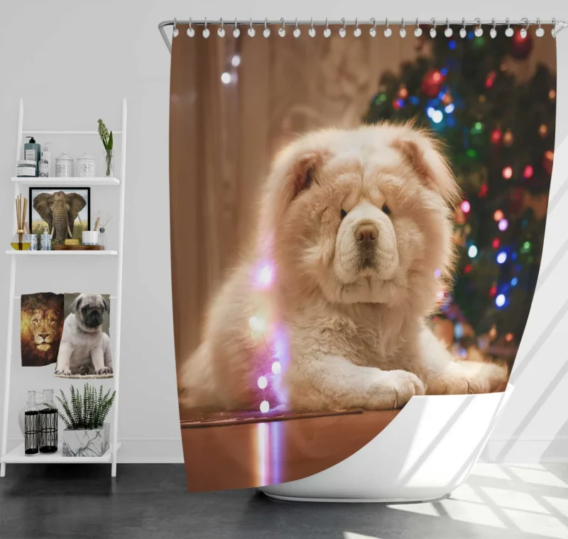 Captivating Chow Charm in Fourfold Shower Curtain