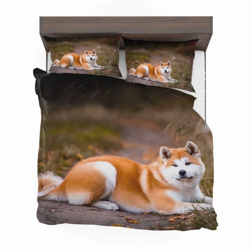 Captivating Companions: The Akita Quartet Bedding Set 1