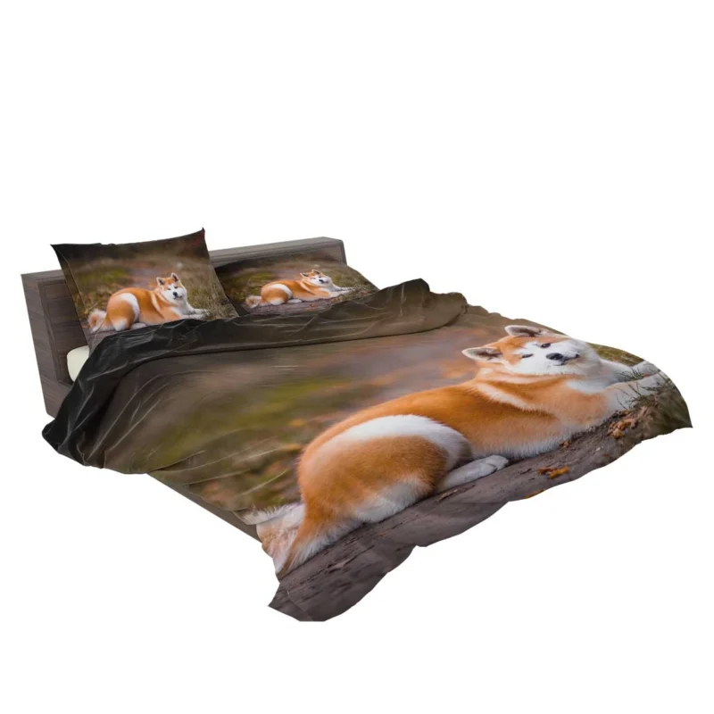 Captivating Companions: The Akita Quartet Bedding Set 2