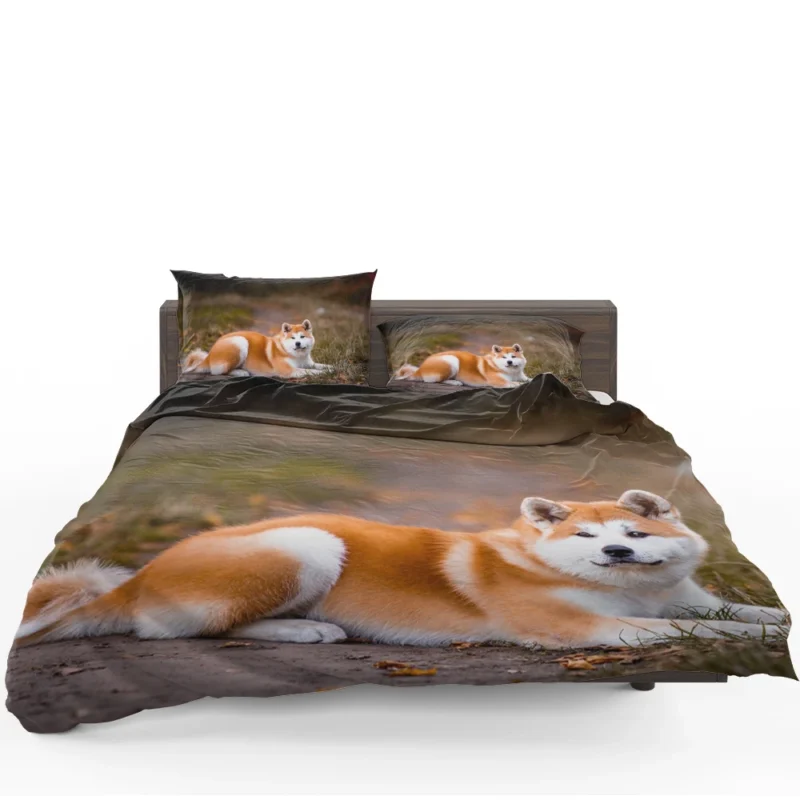 Captivating Companions: The Akita Quartet Bedding Set