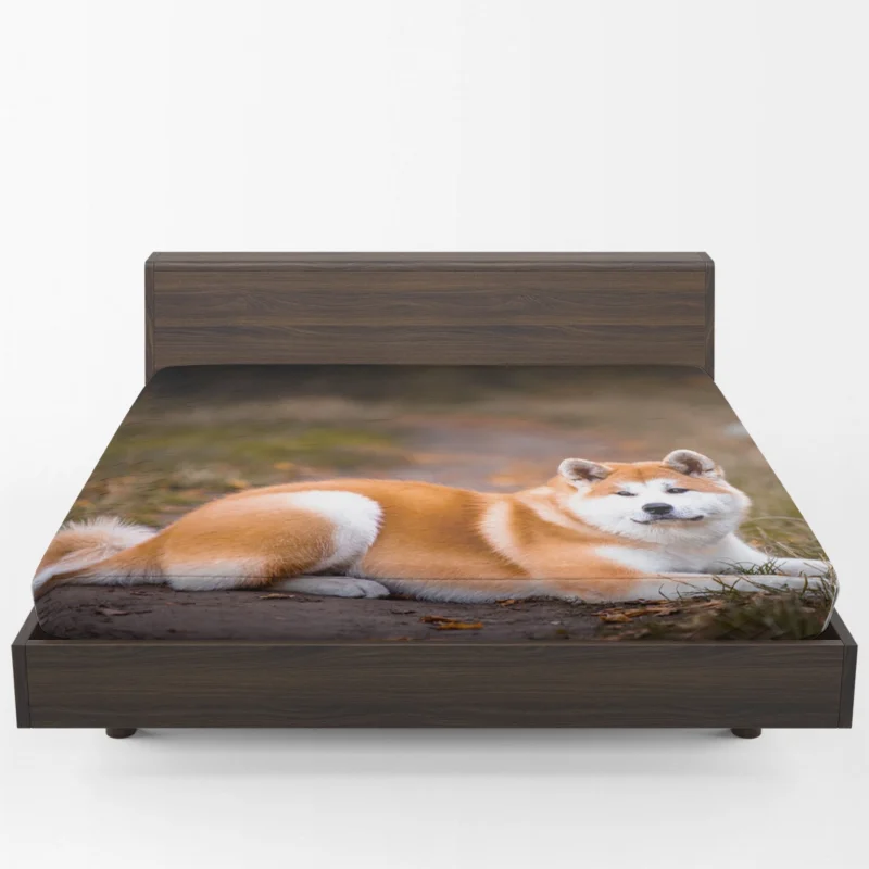 Captivating Companions: The Akita Quartet Fitted Sheet 1