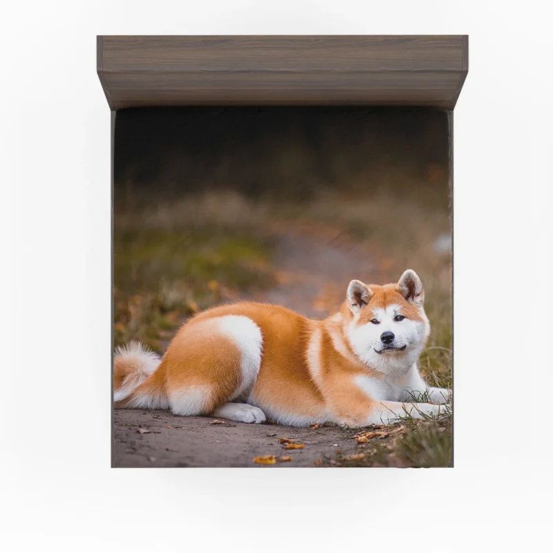 Captivating Companions: The Akita Quartet Fitted Sheet