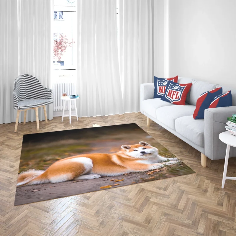 Captivating Companions: The Akita Quartet Floor Rug 2