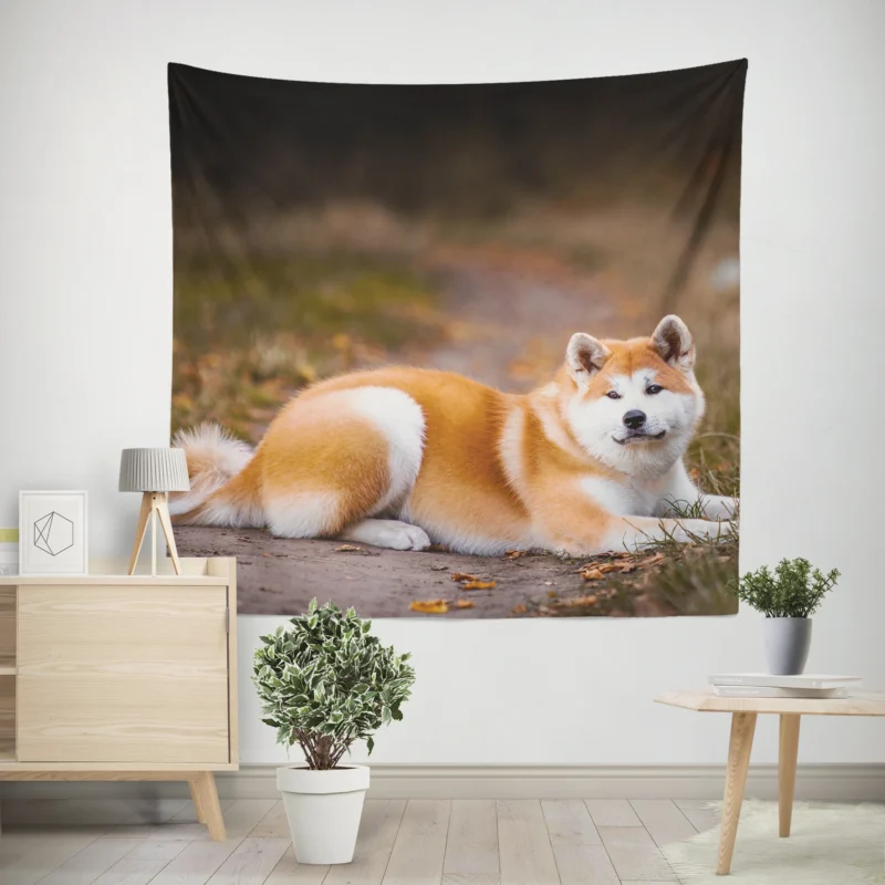 Captivating Companions  The Akita Quartet Wall Tapestry