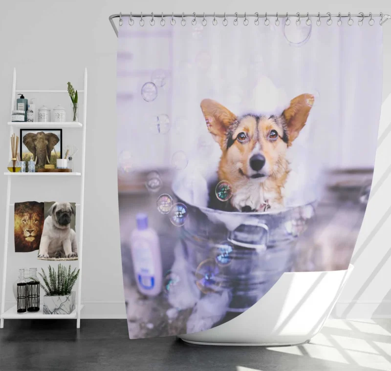 Captivating Corgi Puppies in Bauble Shower Curtain