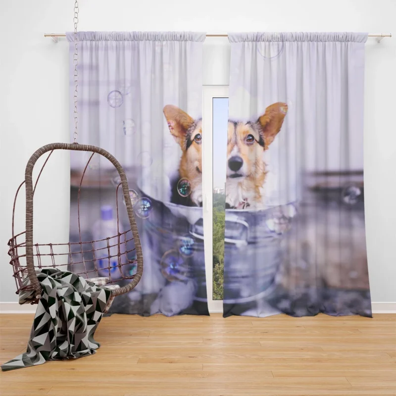 Captivating Corgi Puppies in Bauble Window Curtain