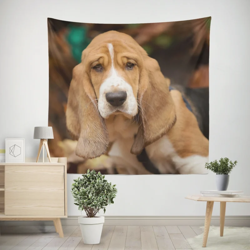 Captivating Muzzle Beauty  Basset Hound Wall Tapestry