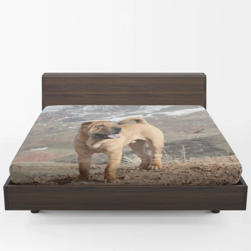 Captivating Shar Pei Companions: Quartet Fitted Sheet 1