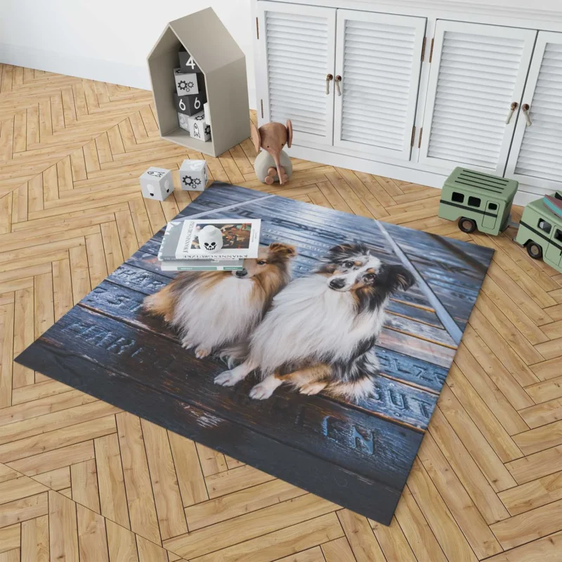 Captivating Shetland Sheepdog Gathering: Quartet Floor Rug 1