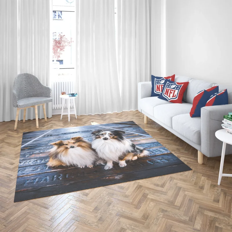 Captivating Shetland Sheepdog Gathering: Quartet Floor Rug 2