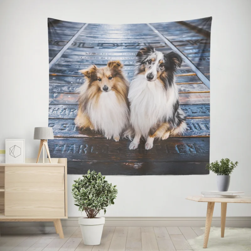 Captivating Shetland Sheepdog Gathering  Quartet Wall Tapestry