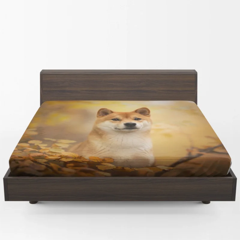 Captivating Shiba Inu Quartet Fitted Sheet 1