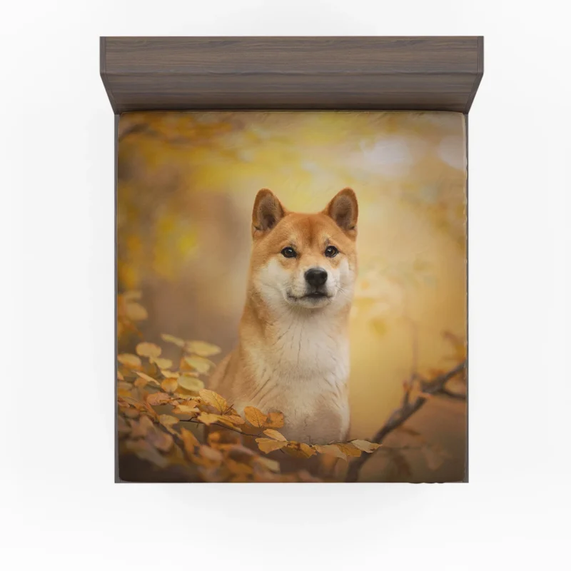 Captivating Shiba Inu Quartet Fitted Sheet