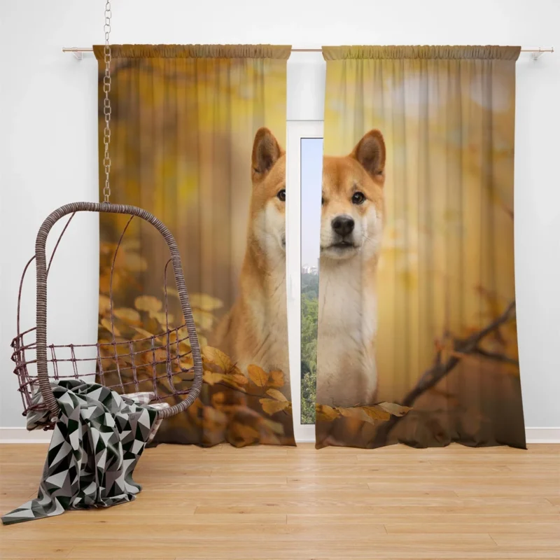 Captivating Shiba Inu Quartet Window Curtain