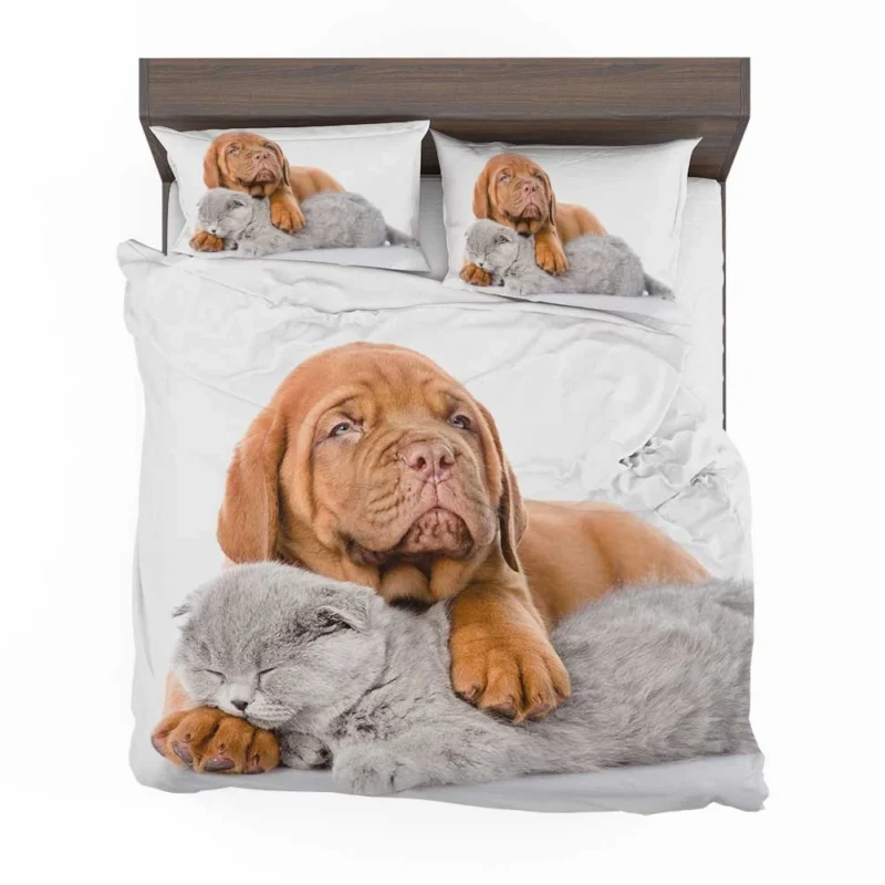 Cat and Dog - Dogue de Bordeaux and a Sleeping Cat: Quartet Bedding Set 1