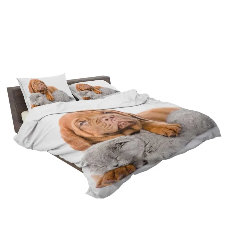 Cat and Dog - Dogue de Bordeaux and a Sleeping Cat: Quartet Bedding Set 2