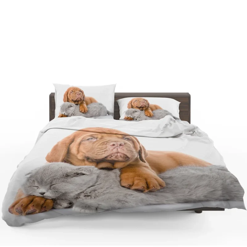 Cat and Dog - Dogue de Bordeaux and a Sleeping Cat: Quartet Bedding Set