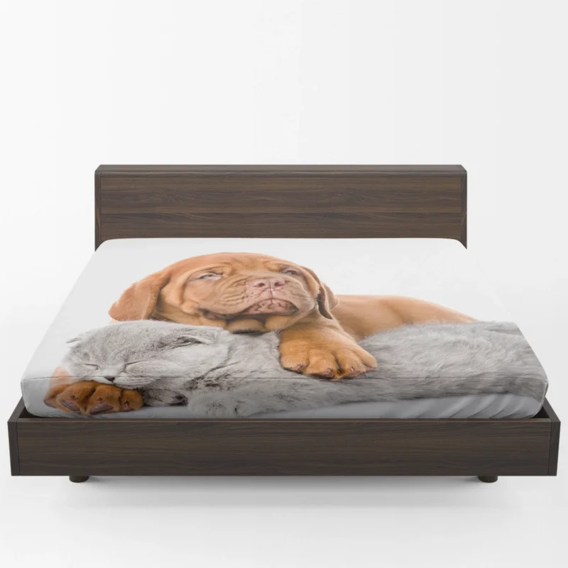 Cat and Dog - Dogue de Bordeaux and a Sleeping Cat: Quartet Fitted Sheet 1