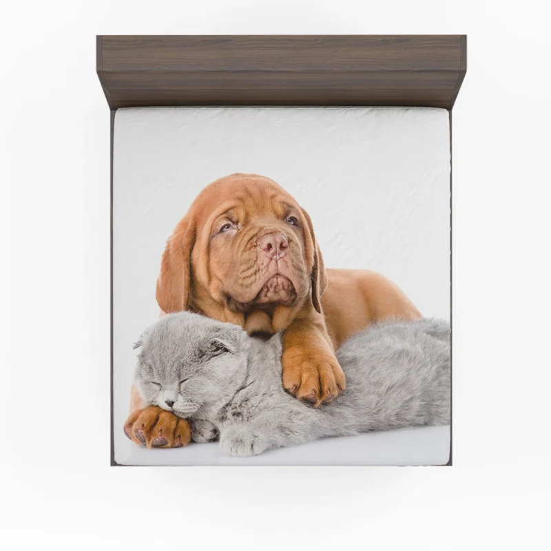 Cat and Dog - Dogue de Bordeaux and a Sleeping Cat: Quartet Fitted Sheet