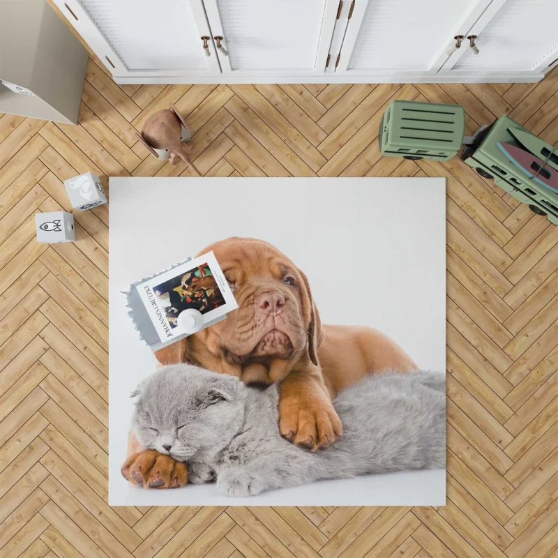 Cat and Dog - Dogue de Bordeaux and a Sleeping Cat: Quartet Floor Rug