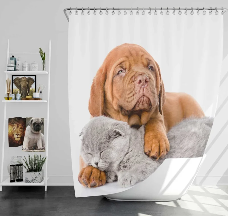 Cat and Dog - Dogue de Bordeaux and a Sleeping Cat: Quartet Shower Curtain