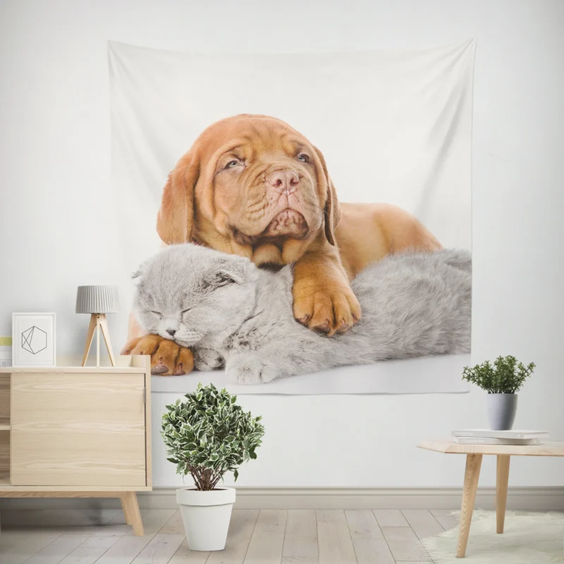 Cat and Dog - Dogue de Bordeaux and a Sleeping Cat  Quartet Wall Tapestry