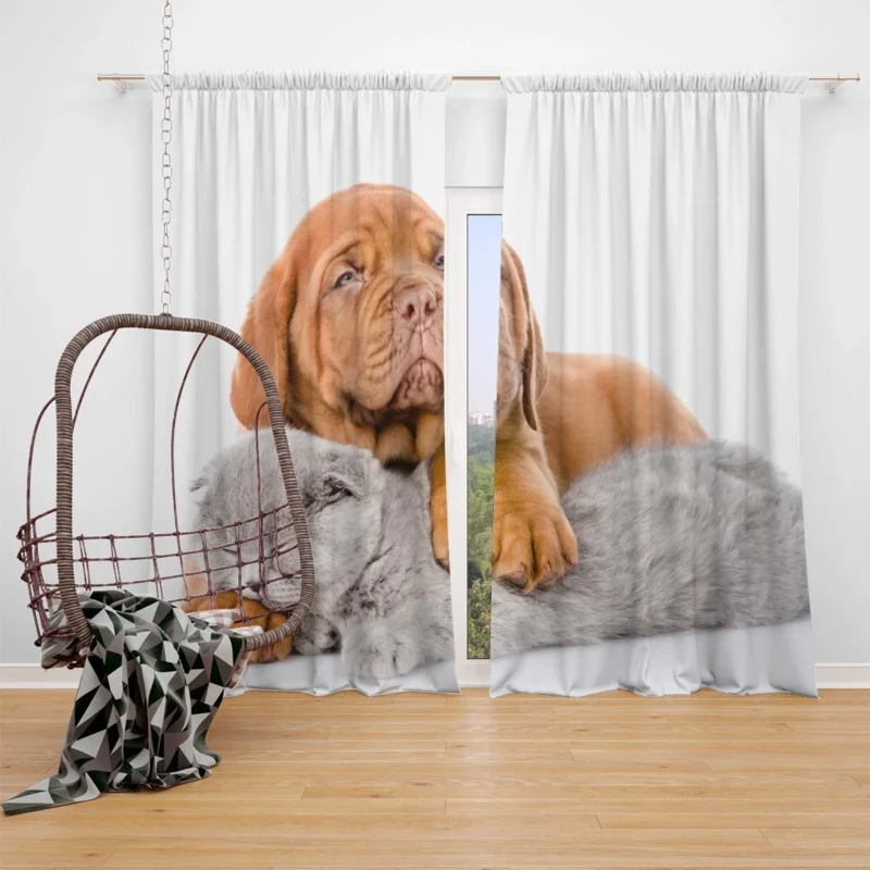 Cat and Dog - Dogue de Bordeaux and a Sleeping Cat: Quartet Window Curtain