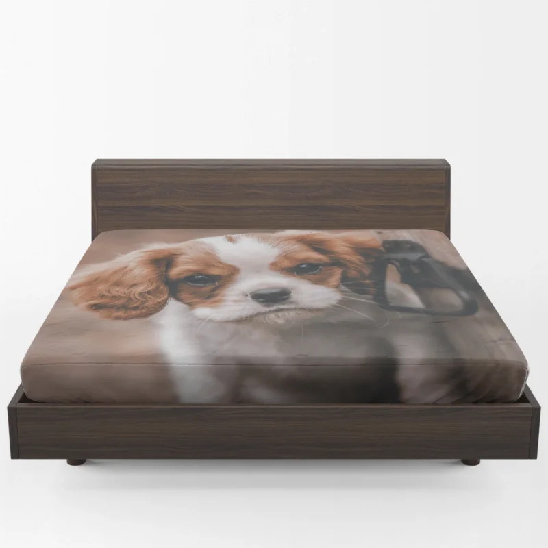 Cavalier Canine Quartet: King Charles Spaniels Fitted Sheet 1