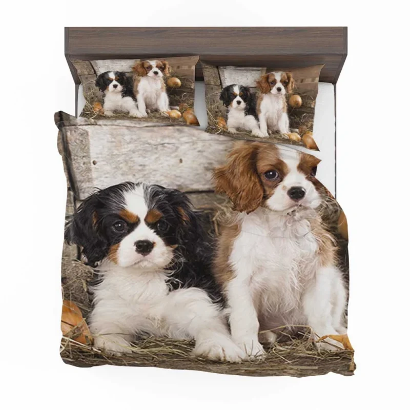 Cavalier Quartet of Love: King Charles Spaniels Bedding Set 1