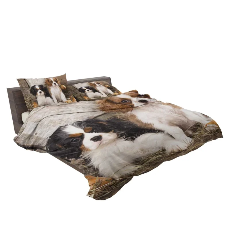 Cavalier Quartet of Love: King Charles Spaniels Bedding Set 2