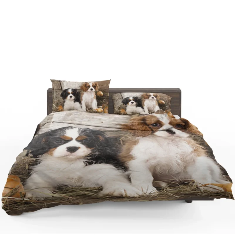 Cavalier Quartet of Love: King Charles Spaniels Bedding Set