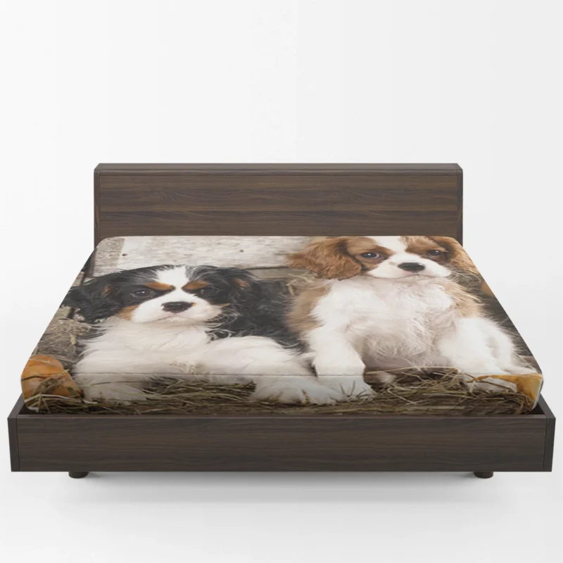 Cavalier Quartet of Love: King Charles Spaniels Fitted Sheet 1