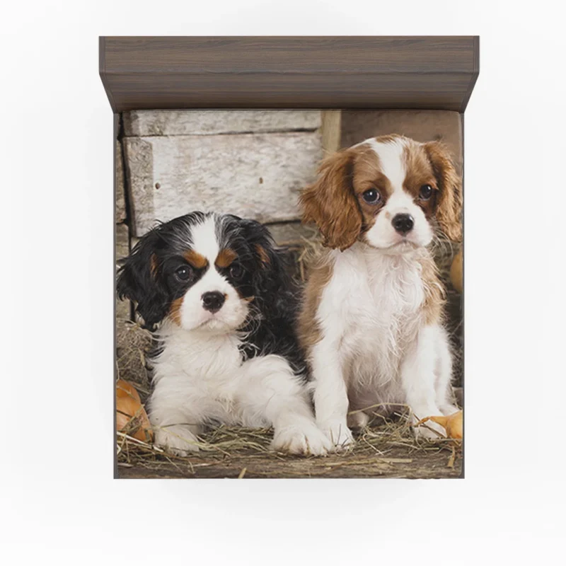 Cavalier Quartet of Love: King Charles Spaniels Fitted Sheet